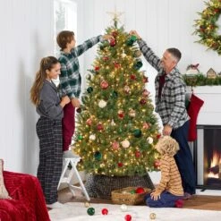 Pre Lit Douglas Fir Christmas Tree, Full Artificial Fir With 700 Warm White Lights, Sturdy Metal Stand For Indoor Decoration 24 Pre Lit Douglas Fir Christmas Tree, Full Artificial Fir With 700 Warm White Lights, Sturdy Metal Stand For Indoor Decoration -Northlight Shop 113261332409264 1