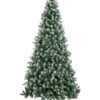 Perfect Holiday Frosted Oregon Fir With Snow Dusted Pine Cones -Northlight Shop 13967783021921