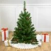 Northlight 3' Pre-Lit Canadian Pine With Pine Cones Artificial Christmas Tree - Clear Lights Green