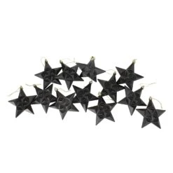 DAK 12ct Matte Jet Black Glittered Star Shatterproof Christmas Ornaments 5" -Northlight Shop 197698213987552