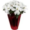 Northlight Artificial Christmas Poinsettia In Wrapped Base - 26" - White
