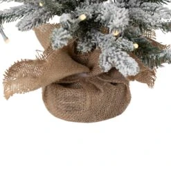 Northlight Real Touch™ Pre-Lit B/O Tamarack Pine Artificial Christmas Tree With Burlap - 2' Warm White LED Green 15 Northlight Real Touch™ Pre-Lit B/O Tamarack Pine Artificial Christmas Tree With Burlap - 2' Warm White LED Green -Northlight Shop 2305858616219912912