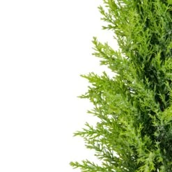 Northlight Upswept Frosted Cedar Artificial Potted Christmas Tree - 17" - Unlit Green 10 Northlight Upswept Frosted Cedar Artificial Potted Christmas Tree - 17" - Unlit Green -Northlight Shop 2305871687285858976