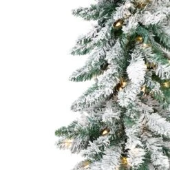 Northlight Pre-Lit Pencil Flocked Alpine Artificial Christmas Tree - 5' - Clear Lights Green -Northlight Shop 2305922866527815376