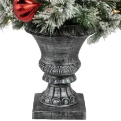 Northlight 4’ Pre-Lit Potted Snowy Bristle Pine Flocked Artificial Christmas Tree, Clear Lights Green 16 Northlight 4’ Pre-Lit Potted Snowy Bristle Pine Flocked Artificial Christmas Tree, Clear Lights Green -Northlight Shop 2306056876527273184