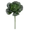 Allstate Frosted Echeveria Succulent Artificial Christmas Pick Spray - 10" - Green -Northlight Shop 2306206462352286368