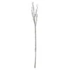 Northlight 31" Glittered Silver Artificial Twig Christmas Spray -Northlight Shop 2306206462501577376