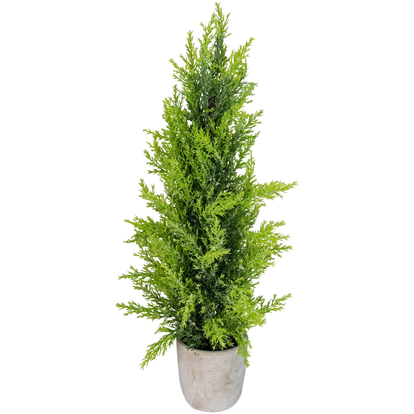 Northlight Upswept Frosted Cedar Artificial Potted Christmas Tree - 17" - Unlit Green 3 Northlight Upswept Frosted Cedar Artificial Potted Christmas Tree - 17" - Unlit Green