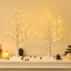 Tabletop Christmas Tree, White Birch Tree With LED Lights- Set Of 2, Warm White Small Tree Lights Battery Powered Timer, Lighted Tree For Mantle Christmas Decorations (2FT, 24LED)