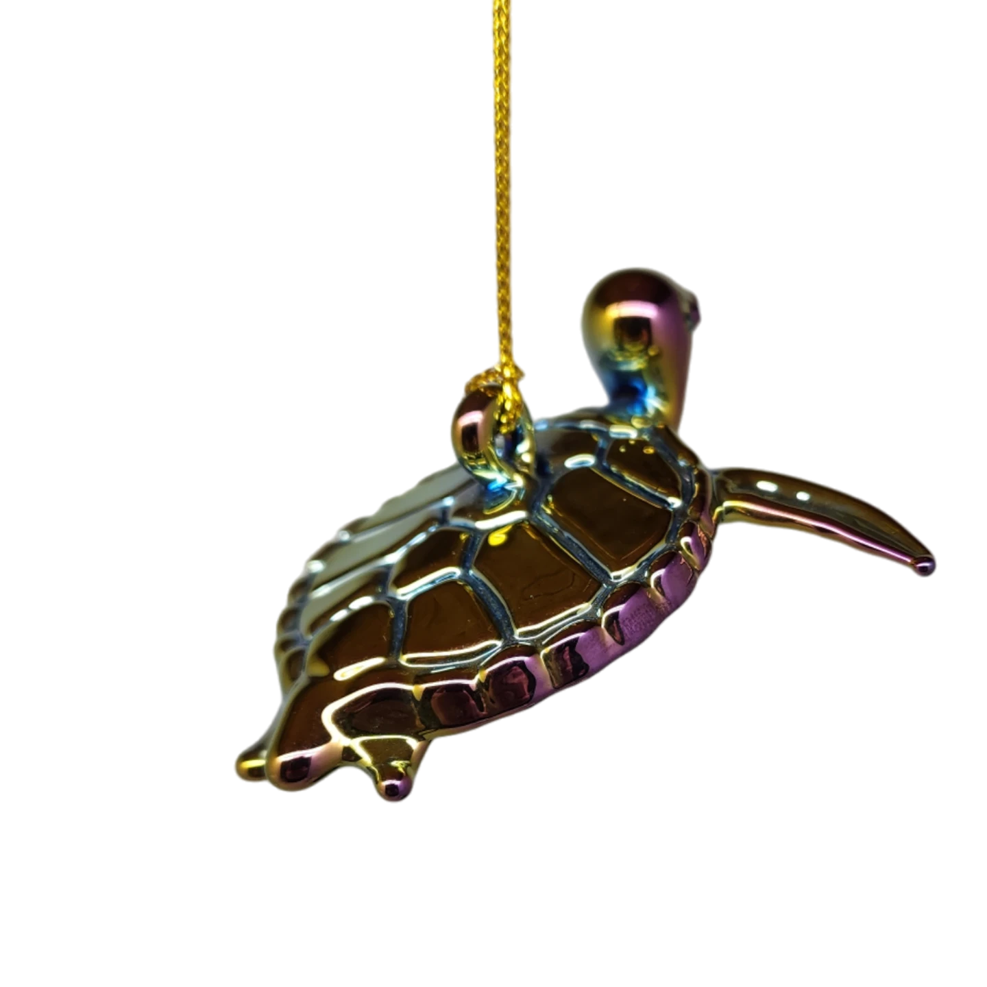 Chromatic Collection Seaturtle 8 Chromatic Collection Seaturtle - Image 6