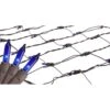 Northlight Mini Net Style Incandescent Christmas Lights - 2' X 8' - Blue - Brown Wire -Northlight Shop 28679130702496