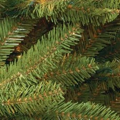 7.5 Ft. Pre-Lit Dunhill® Fir Artificial Christmas Tree, Clear Lights -Northlight Shop 28904 DUH 75LO 2