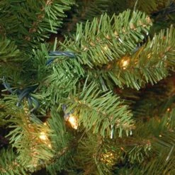 7ft. Pre-lit Kingswood Fir Pencil Artificial Christmas Tree, Clear Lights 13 7ft. Pre-lit Kingswood Fir Pencil Artificial Christmas Tree, Clear Lights -Northlight Shop 28904 KW7 300 70 2