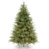 7.5 Ft. Pre-Lit Feel Real® Frasier Grande Full Artificial Christmas Tree, Clear Lights -Northlight Shop 28904 PEFG3 308 75