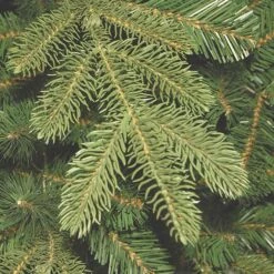 7.5ft. Unlit Feel Real® Hinged Norwegian Spruce Slim Artificial Christmas Tree 11 7.5ft. Unlit Feel Real® Hinged Norwegian Spruce Slim Artificial Christmas Tree -Northlight Shop 28904 PENG4 500 75 2