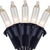 Clear Christmas Lights With Black Wire