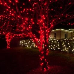 100 Count Christmas String Light - 20FT (RED) 21 100 Count Christmas String Light - 20FT (RED) -Northlight Shop 317718026522544