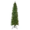 Northlight 6.5' Pre-Lit Silver Lake Fir Pencil Artificial Christmas Tree, Multi Lights Green 2 Northlight 6.5' Pre-Lit Silver Lake Fir Pencil Artificial Christmas Tree, Multi Lights Green -Northlight Shop 363454383645344