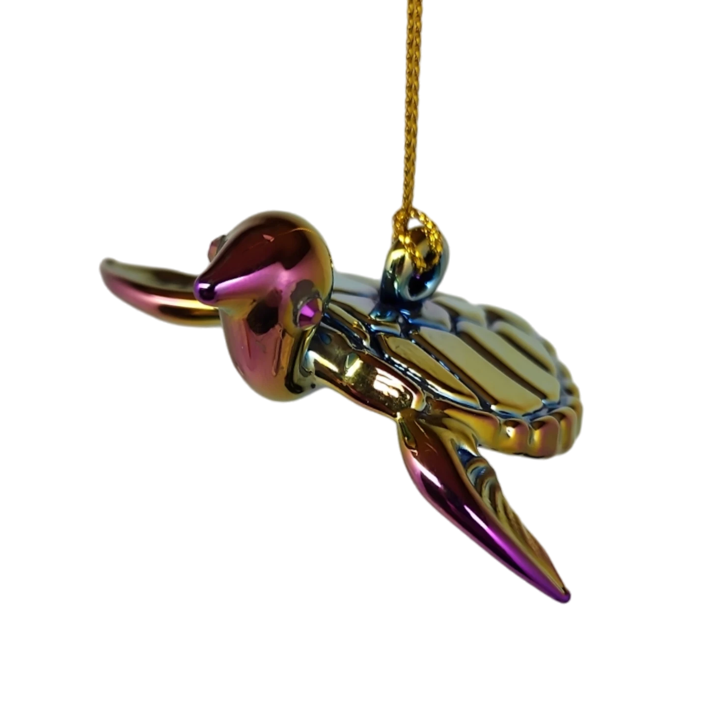 Chromatic Collection Seaturtle 5 Chromatic Collection Seaturtle - Image 3