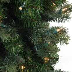 Northlight 4' Pre-Lit Slim Savannah Spruce Slim Artificial Christmas Tree - Clear Lights Green 9 Northlight 4' Pre-Lit Slim Savannah Spruce Slim Artificial Christmas Tree - Clear Lights Green -Northlight Shop 380292186890912