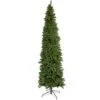 Northlight 7.5' Pre-Lit Hazelton Spruce Pencil Artificial Christmas Tree, Clear Lights Green 2 Northlight 7.5' Pre-Lit Hazelton Spruce Pencil Artificial Christmas Tree, Clear Lights Green -Northlight Shop 426859112960672