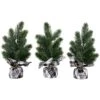Northlight Mini Iced Pine Artificial Christmas Trees - 10" - Set Of 3 Green 1 Northlight Mini Iced Pine Artificial Christmas Trees - 10" - Set Of 3 Green -Northlight Shop 43602491377120