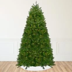 Northlight 12' Pre-lit Northern Pine Full Artificial Christmas Tree - Warm Clear LED Lights Green