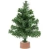Northlight 12" Mini Pine Full Artificial Christmas Tree, Unlit Green