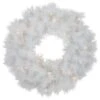 Northlight Pre-Lit White Alaskan Pine Artificial Christmas Wreath - 24" - Warm White LED Lights -Northlight Shop 4611714696694588064