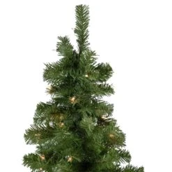 Northlight 7.5' Pre-Lit Hazelton Spruce Pencil Artificial Christmas Tree, Clear Lights Green -Northlight Shop 4611883717044028640