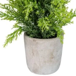Northlight Upswept Frosted Cedar Artificial Potted Christmas Tree - 17" - Unlit Green 11 Northlight Upswept Frosted Cedar Artificial Potted Christmas Tree - 17" - Unlit Green -Northlight Shop 4611899885518472416