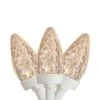 Northlight LED C7 Faceted Christmas Lights - Warm White - 20.25' White Wire - 50ct 1 Northlight LED C7 Faceted Christmas Lights - Warm White - 20.25' White Wire - 50ct -Northlight Shop 4612066310481633952