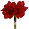 Red Amaryllis Bouquet With Lifelike Silk Flowers, 12.5-Inch For Festive Holiday, Wedding, Party, And Home Décor (Set Of 12) By Floral Home By Artificial Flowers