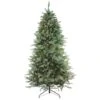 Northlight 7.5' Pre-Lit Washington Frasier Artificial Christmas Tree - Clear AlwaysLit Lights Green 2 Northlight 7.5' Pre-Lit Washington Frasier Artificial Christmas Tree - Clear AlwaysLit Lights Green -Northlight Shop 5188527063915946656