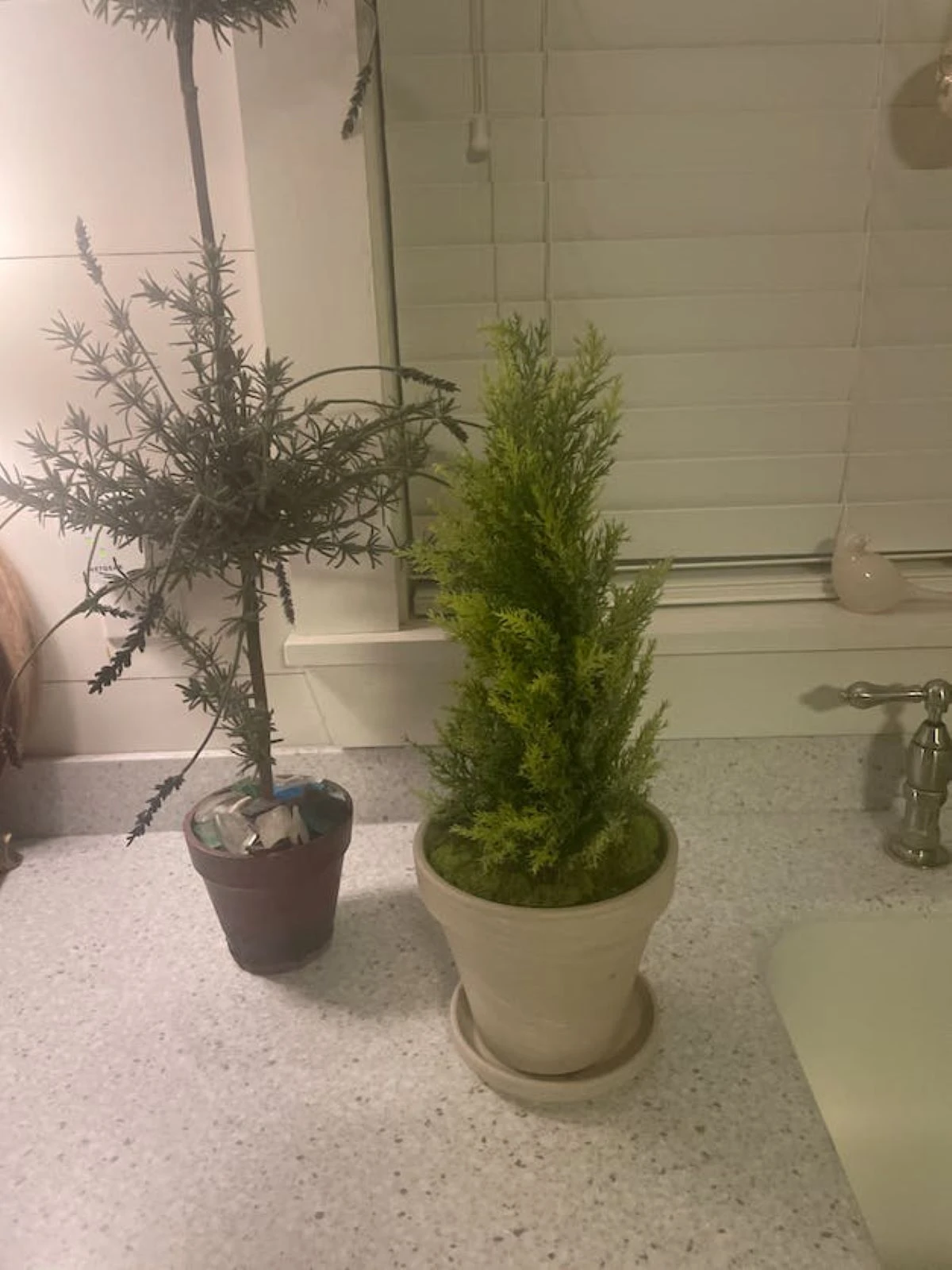 Northlight Upswept Frosted Cedar Artificial Potted Christmas Tree - 17" - Unlit Green 7 Northlight Upswept Frosted Cedar Artificial Potted Christmas Tree - 17" - Unlit Green - Image 5