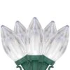 Northlight LED C9 Christmas Lights - Pure White - 16' Green Wire - 25ct Clear 2 Northlight LED C9 Christmas Lights - Pure White - 16' Green Wire - 25ct Clear -Northlight Shop 519557630995472