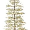 Sparse Flocked Christmas Tree Aspen Noble Fir With 2-in-1 LED Lights, 880 Tips & Metal Stand For Holiday Decor 2 Sparse Flocked Christmas Tree Aspen Noble Fir With 2-in-1 LED Lights, 880 Tips & Metal Stand For Holiday Decor -Northlight Shop 57829686782896
