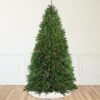 Northlight 12' Pre-Lit Rockwood Pine Artificial Christmas Tree, Multi LED Lights Green 1 Northlight 12' Pre-Lit Rockwood Pine Artificial Christmas Tree, Multi LED Lights Green -Northlight Shop 6917574921659907152