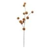 Napco 31" Golden Orange Pom Pom Artificial Christmas Spray -Northlight Shop 6917892481043784352