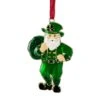 Northlight 3.5" Green Brass-Plated Irish Santa Christmas Ornament With European Crystals -Northlight Shop 6917909319890363040