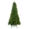Northlight 10' Pre-Lit Slim Eastern Pine Artificial Christmas Tree - Clear Lights Green -Northlight Shop 6917909320832508576