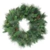 Northlight Pre-Lit White Valley Pine Artificial Pinecone Christmas Wreath - 24" - Clear Lights Green 1 Northlight Pre-Lit White Valley Pine Artificial Pinecone Christmas Wreath - 24" - Clear Lights Green -Northlight Shop 6917909321212093088