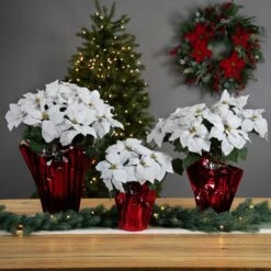 Northlight Artificial Christmas Poinsettia Flowers With Wrapped Base - 22" - White 13 Northlight Artificial Christmas Poinsettia Flowers With Wrapped Base - 22" - White -Northlight Shop 8070648229974131936