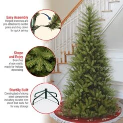 6.5 Ft. Unlit Dunhill® Fir Slim Artificial Christmas Tree 15 6.5 Ft. Unlit Dunhill® Fir Slim Artificial Christmas Tree -Northlight Shop D040082S 16