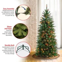 4.5 Ft. Pre-lit Kingswood Fir Pencil Artificial Christmas Tree, Multicolor Lights 13 4.5 Ft. Pre-lit Kingswood Fir Pencil Artificial Christmas Tree, Multicolor Lights -Northlight Shop D040128S 15