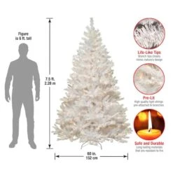 7.5 Ft. Pre-Lit Winchester White Pine Full Artificial Christmas Tree, Clear Lights 14 7.5 Ft. Pre-Lit Winchester White Pine Full Artificial Christmas Tree, Clear Lights -Northlight Shop D048010S 15