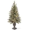 4ft. Pre-Lit Glittery Bristle® Entrance Tree With Clear Lights 2 4ft. Pre-Lit Glittery Bristle® Entrance Tree With Clear Lights -Northlight Shop D205074S 1