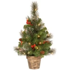 2ft. Pre-Lit Crestwood Spruce Small Tree With Silver Bristle, Cones, Red Berries & Glitter In A Plastic Bronze Pot, Clear Lights