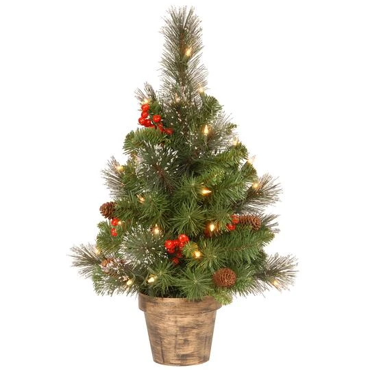 2ft. Pre-Lit Crestwood Spruce Small Tree With Silver Bristle, Cones, Red Berries & Glitter In A Plastic Bronze Pot, Clear Lights 3 2ft. Pre-Lit Crestwood Spruce Small Tree With Silver Bristle, Cones, Red Berries & Glitter In A Plastic Bronze Pot, Clear Lights