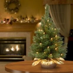 24" Pre-Lit Majestic Fir Tree In Gold Cloth Bag, Clear Lights -Northlight Shop D206330S 12
